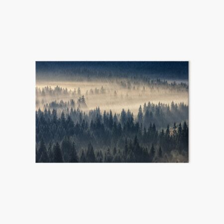 coniferous forest in foggy mountains Art Board Print