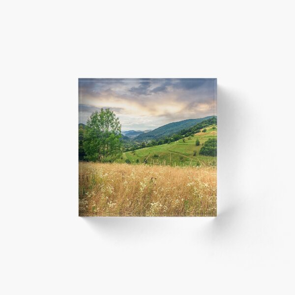 village on hillside meadow Acrylic Block