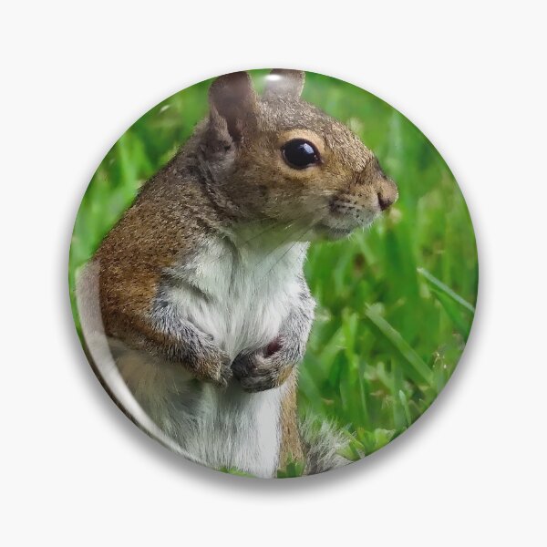 Item preview, Cute Squirrel #0025 designed and sold by Jeffrey Mask.