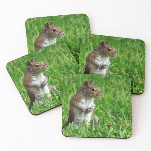 Item preview, Cute Squirrel #0025 designed and sold by Jeffrey Mask.
