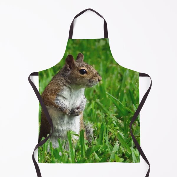 Item preview, Cute Squirrel #0025 designed and sold by Jeffrey Mask.