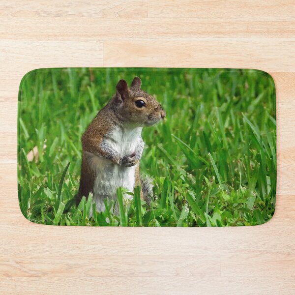 Item preview, Cute Squirrel #0025 designed and sold by Jeffrey Mask.