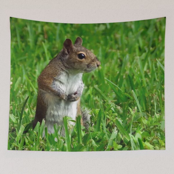 Item preview, Cute Squirrel #0025 designed and sold by Jeffrey Mask.