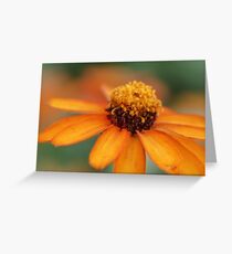 Bright Day Greeting Card