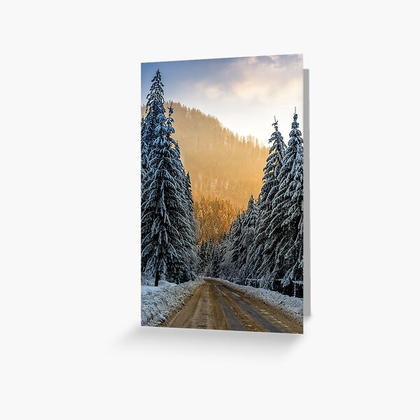 snowy road through spruce forest at sunset Greeting Card