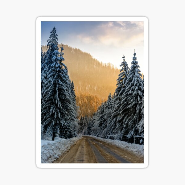 snowy road through spruce forest at sunset Sticker