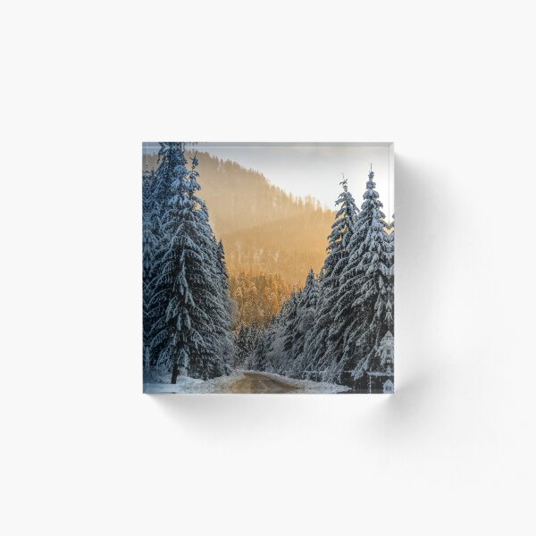 snowy road through spruce forest at sunset Acrylic Block
