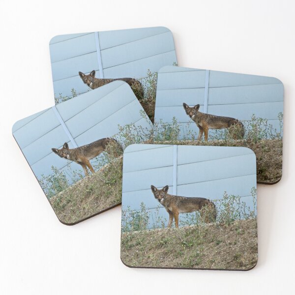Item preview, The wild side of the fence designed and sold by Art in Nature.