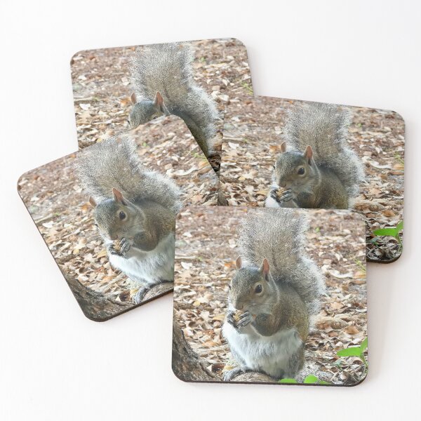 Item preview, Cute Squirrel #0026 designed and sold by Jeffrey Mask.