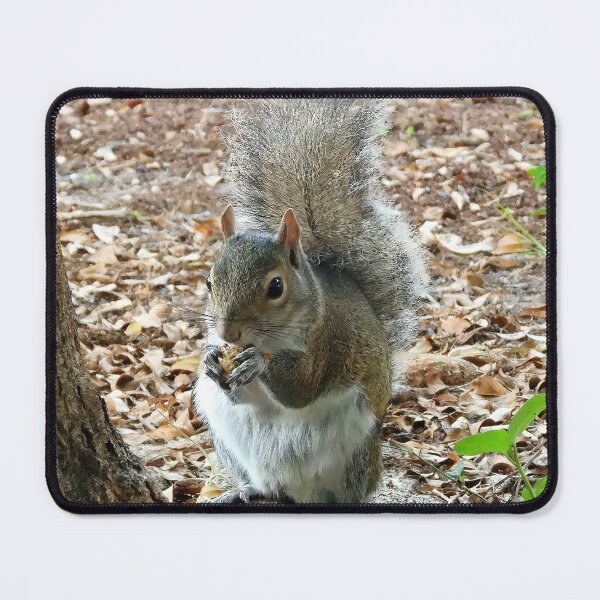 Item preview, Cute Squirrel #0026 designed and sold by Jeffrey Mask.
