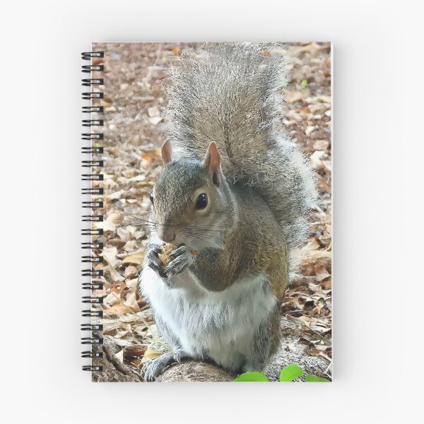 Item preview, Cute Squirrel #0026 designed and sold by Jeffrey Mask.