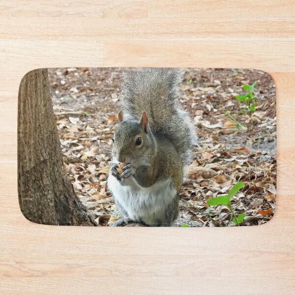 Item preview, Cute Squirrel #0026 designed and sold by Jeffrey Mask.