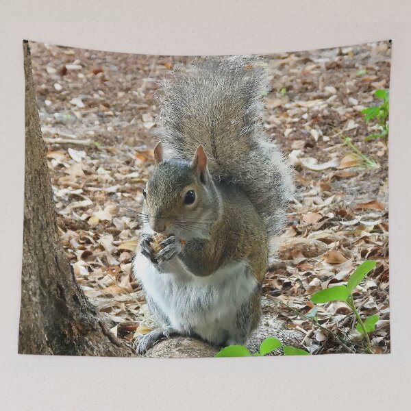 Item preview, Cute Squirrel #0026 designed and sold by Jeffrey Mask.