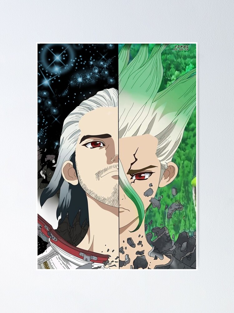 Byakuya Ishigami And Senku Ishigami Doctor Stone Poster For Sale By Ricon Otaku Redbubble