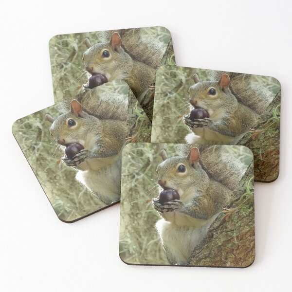 Item preview, Cute Squirrel #0027 designed and sold by Jeffrey Mask.