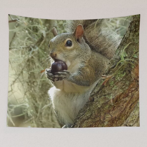 Item preview, Cute Squirrel #0027 designed and sold by Jeffrey Mask.