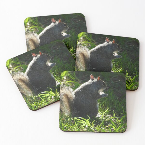 Item preview, Cute Squirrel #0028 designed and sold by Jeffrey Mask.