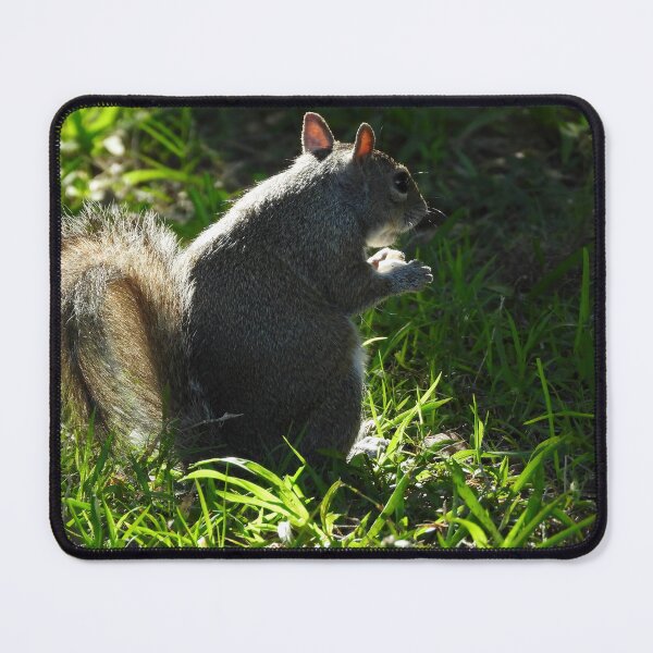 Item preview, Cute Squirrel #0028 designed and sold by Jeffrey Mask.