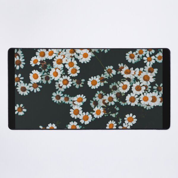 Item preview, White Daisy flowers designed and sold by ShopOfK.
