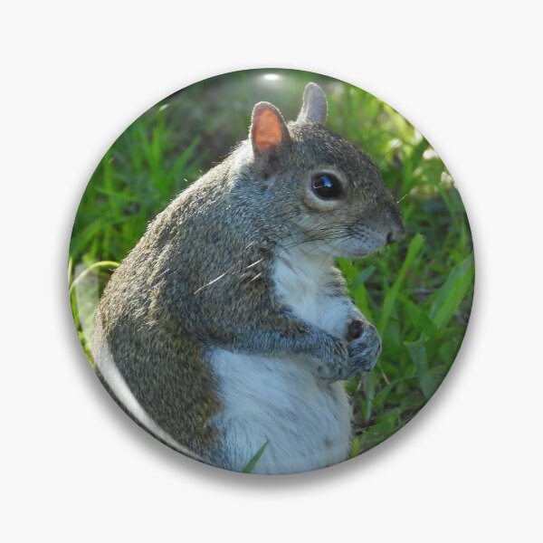 Item preview, Cute Squirrel #0029 designed and sold by Jeffrey Mask.