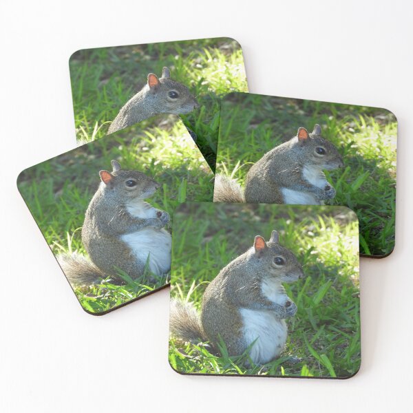 Item preview, Cute Squirrel #0029 designed and sold by Jeffrey Mask.