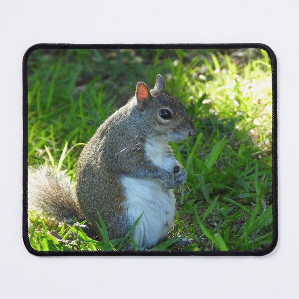 Item preview, Cute Squirrel #0029 designed and sold by Jeffrey Mask.