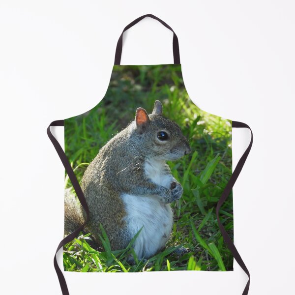 Item preview, Cute Squirrel #0029 designed and sold by Jeffrey Mask.