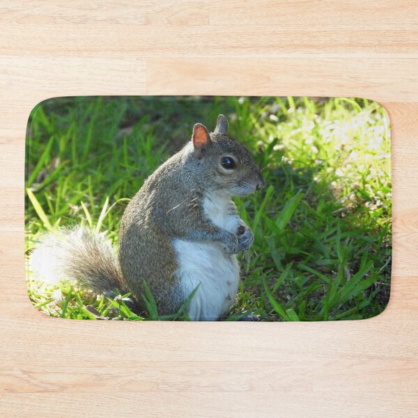 Item preview, Cute Squirrel #0029 designed and sold by Jeffrey Mask.