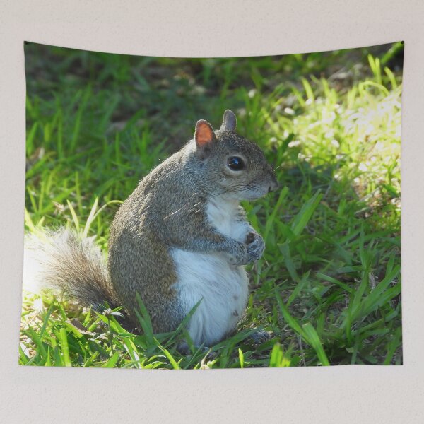 Item preview, Cute Squirrel #0029 designed and sold by Jeffrey Mask.