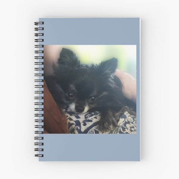 Item preview, My Sweet Boy, Sherlock designed and sold by IrishEyesMrsZ.