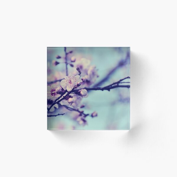 Blossom Acrylic Block