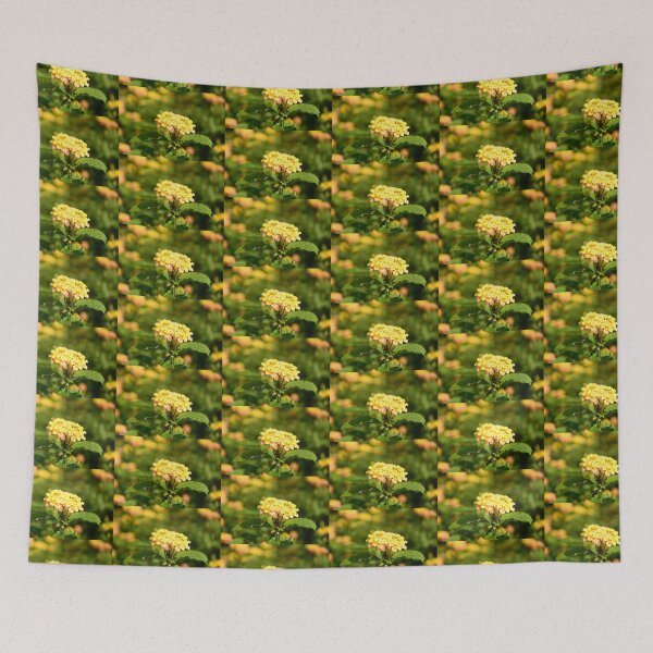 Item preview, NATURE'S COLOURS designed and sold by kazaroodie.