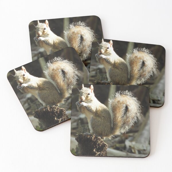 Item preview, Cute Squirrel #0030 designed and sold by Jeffrey Mask.