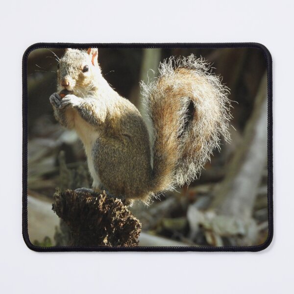 Item preview, Cute Squirrel #0030 designed and sold by Jeffrey Mask.