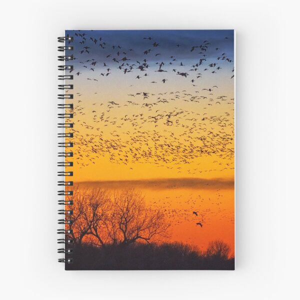Item preview, Swarm Setting – Sandhills over The Platte designed and sold by Owed To Nature.