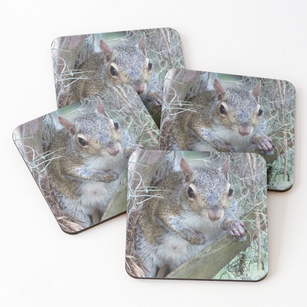 Item preview, Cute Squirrel #0031 designed and sold by Jeffrey Mask.