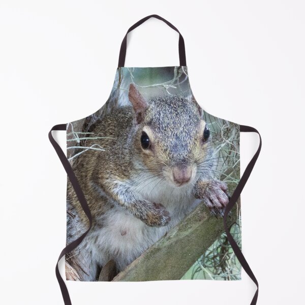 Item preview, Cute Squirrel #0031 designed and sold by Jeffrey Mask.