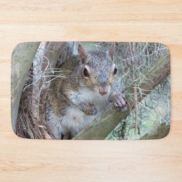 Item preview, Cute Squirrel #0031 designed and sold by Jeffrey Mask.