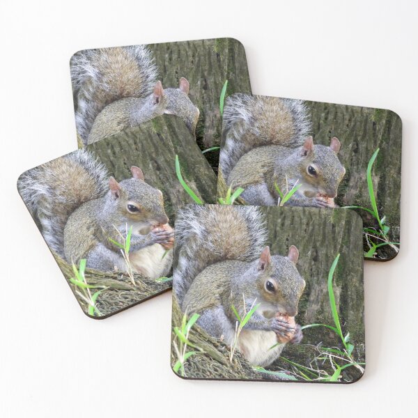 Item preview, Cute Squirrel #0032 designed and sold by Jeffrey Mask.