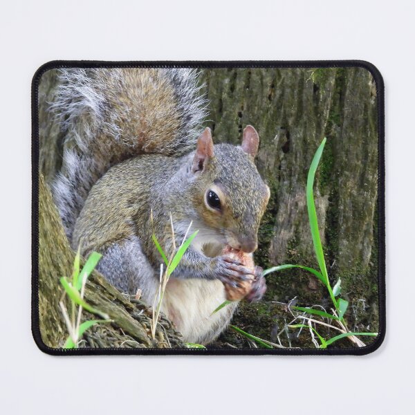 Item preview, Cute Squirrel #0032 designed and sold by Jeffrey Mask.