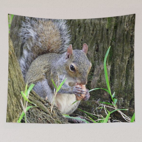 Item preview, Cute Squirrel #0032 designed and sold by Jeffrey Mask.
