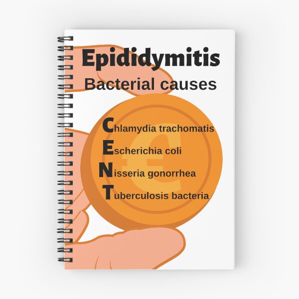 Item preview, Epididymitis: Bacterial Causes CENT Medical Mnemonic designed and sold by Caregiverology.