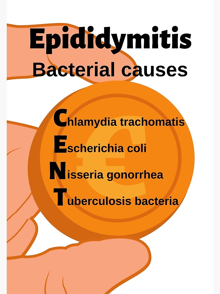 "Epididymitis Bacterial Causes CENT Medical Mnemonic" Poster by