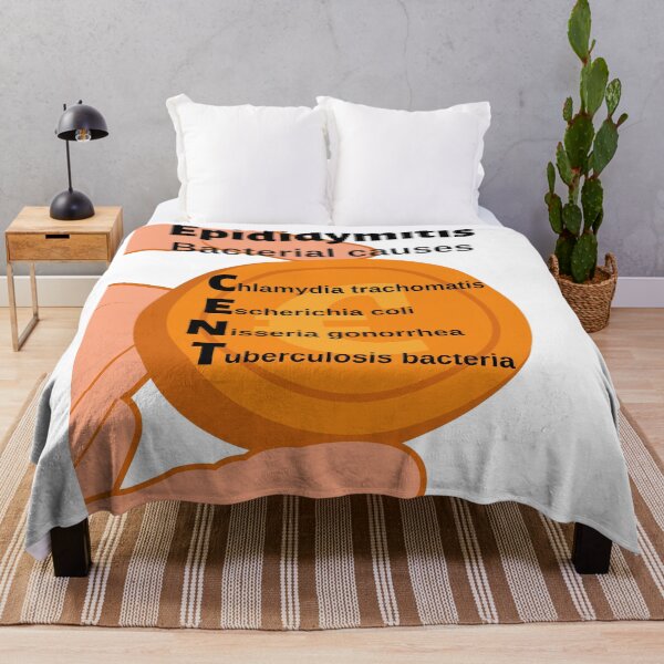 Item preview, Epididymitis: Bacterial Causes CENT Medical Mnemonic designed and sold by Caregiverology.