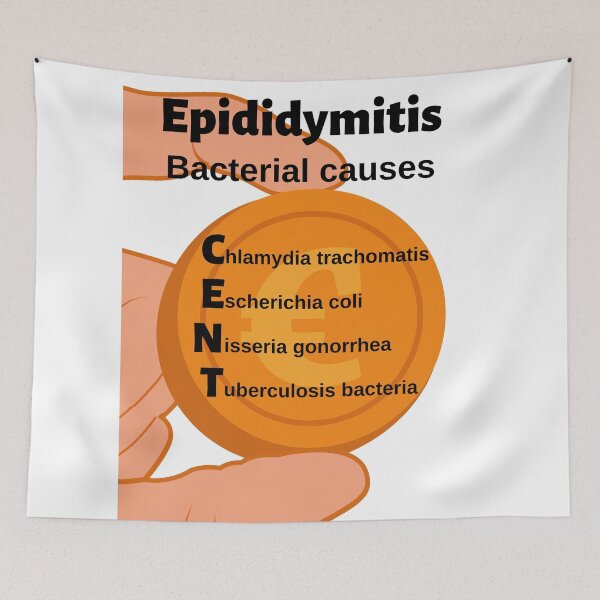 Item preview, Epididymitis: Bacterial Causes CENT Medical Mnemonic designed and sold by Caregiverology.