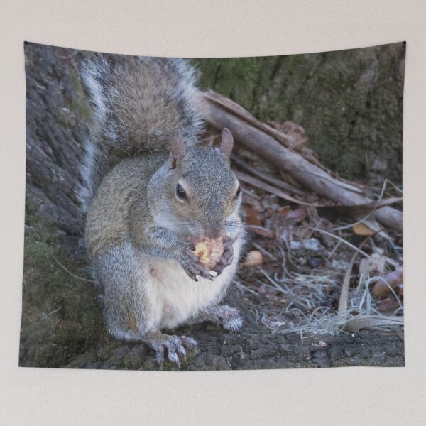 Item preview, Cute Squirrel #0033 designed and sold by Jeffrey Mask.