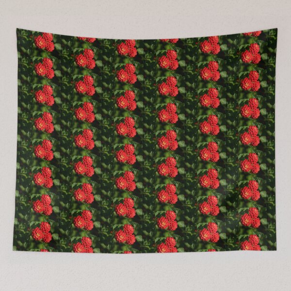 Item preview, BURST OF COLOUR designed and sold by kazaroodie.