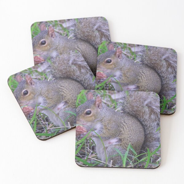 Item preview, Cute Squirrel #0034 designed and sold by Jeffrey Mask.