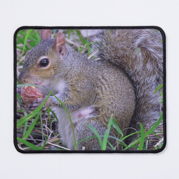 Item preview, Cute Squirrel #0034 designed and sold by Jeffrey Mask.