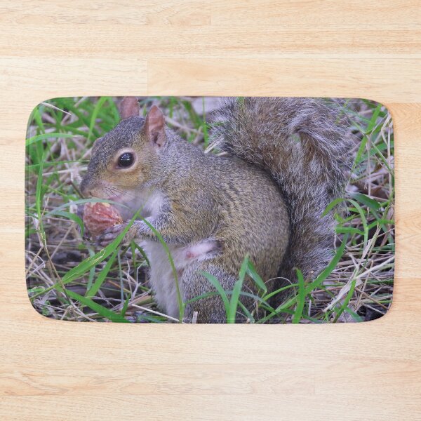 Item preview, Cute Squirrel #0034 designed and sold by Jeffrey Mask.